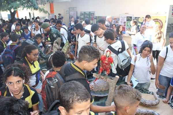 sma57.jpg sma57.jpg