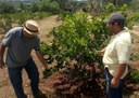 18_10_19 Tecnicos do Mapa e Empaer visitam áreas irrigadas em Pirpirituba (1).jpg