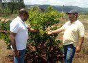 18_10_19 Tecnicos do Mapa e Empaer visitam áreas irrigadas em Pirpirituba (3).jpg