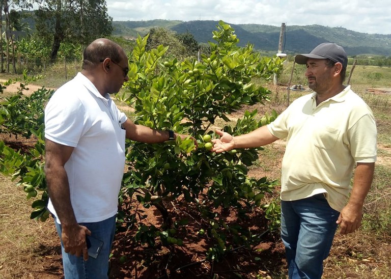 18_10_19 Tecnicos do Mapa e Empaer visitam áreas irrigadas em Pirpirituba (3).jpg