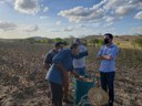 VISITA ALGODÃO3 19-11.jpg