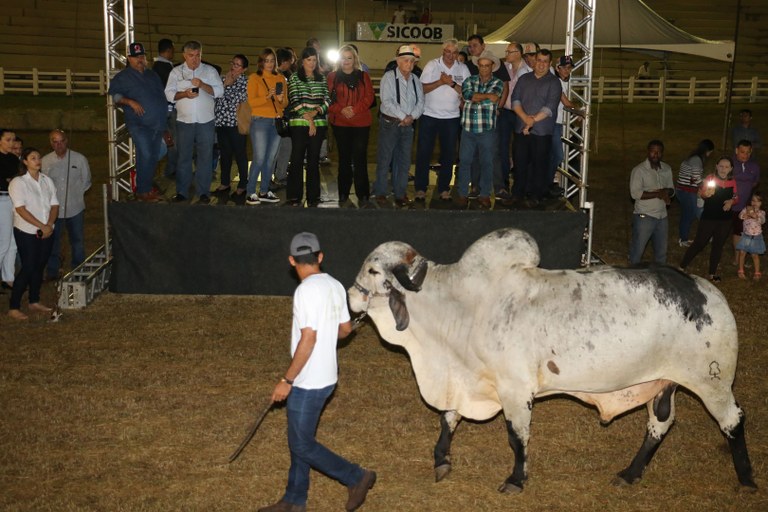 19_05_19 Abertura da feira de animais em CG fotos Francisco França (10).JPG 19_05_19 Abertura da feira de animais em CG fotos Francisco França (10).JPG