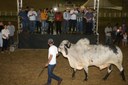 19_05_19 Abertura da feira de animais em CG fotos Francisco França (10).JPG